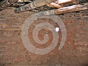 Viga Beams in Dwelling at Anasazi State Park and Museum