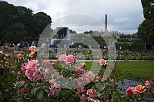 Vigeland Park with Some Rose Ahead