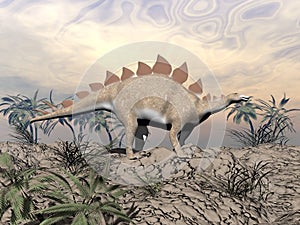 Vigilent stegosaurus