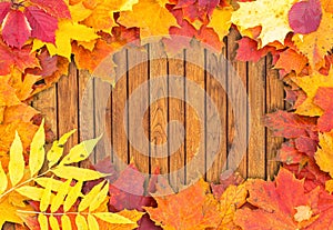 Vignette of Autumn leaves on wood.