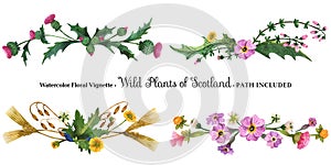 Vignette from wild plants of Scotland photo