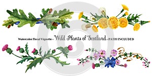 Vignette from wild plants of Scotland