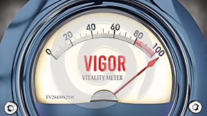 Vigor and Vitality Meter that is hitting a full scale, showing a very high level of vigor