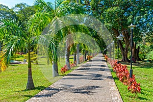 Viharamahadevi Park in Colombo, Sri Lanka photo