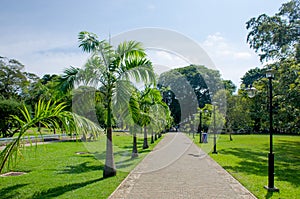 Viharamahadevi the park to the city of Colombo of Sri Lanka photo