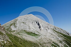 Picco montagne 