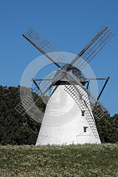 Vihula windmill