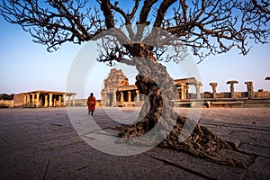 Vijaya Vitthala Temple. Beautifully carved out of a monolith rock, Hampi, Karnataka, India