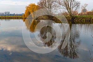 Vijver met reflectie van bomen