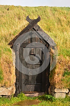 Viking Door