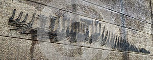 Viking fleet on Bryggen boat stick, Norway