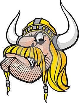 Viking Head photo