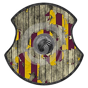 Viking shield
