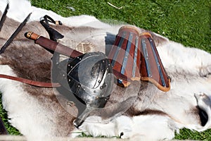Viking weapon