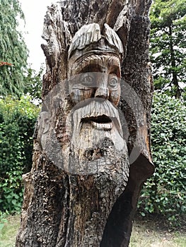 Viking Wood Carving On A Tree