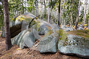 Viklan boulder, rock near Zihle, Pilsen region, Czech republic