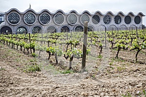 Vilafranca del Penedes,Catalonia,Spain.