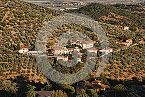 Vilage in Vineyard, Chianti, Tuscany photo