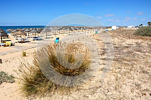 Vilamoura beach, Portugal. photo