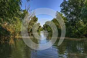 Vilkovo Ã¢â¬â Ukrainian `Venice`. Danube river channel, polder street photo