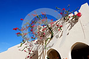 The villa with blooming Bougainvillea flowers is at luxury hotel