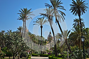 Villa Bonanno, the public park with palmtrees near Cathedral in center of Palermo, Sicily, Italy.