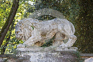 Villa Borghese gardens, stone lion sculpture, Rome, Italy
