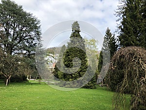 Villa Boveri Park or Der Garten der Villa Boveri or Landschaftsgarten Parkanlage der Villa Boveri, Baden photo