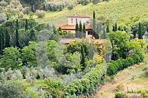 Villa with cypresses in vineyard in Tuscany, Italy