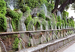 Villa d`Este fountain and garden , Tivoli, Italy.