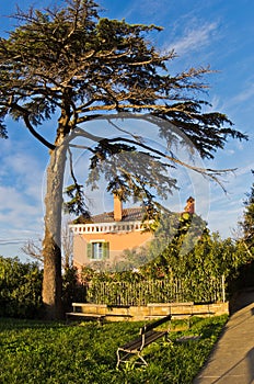 Villa on a hill surounded with pine and cypress trees in Piran