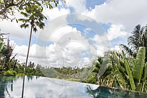 Villa infinity pool with a palm tree and rain forest with blue and clouds in the sky in Bali Indonesia