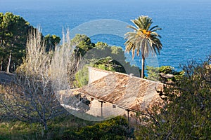 Villa with a palm tree and a sea view in Banyalbufar, Majorca