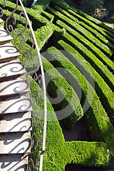 Villa Pisani, Stra, Italy - The green labyrinth photo