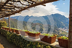 Villa Rufolo. Ravello. Campania. Italy photo