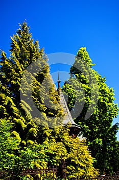 Villa Tower between tree - Liebieg Villa Liberec