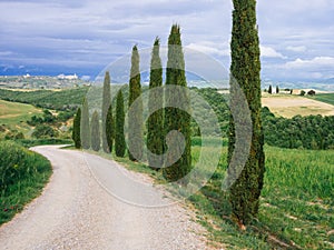 Villa in Tuscany with cypress road and blue sky, idyllic seasonal nature landscape vintage hipster background