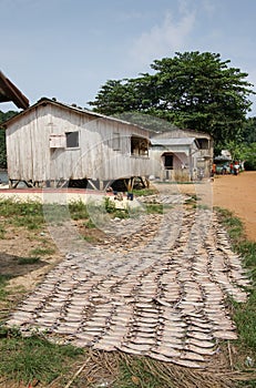 Village Abade, Principe, Africa