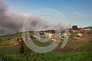 Village above the sky at Mt. Sumbing Central Java Indonesia