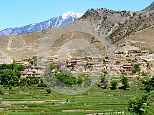 Village in Afghanistan photo