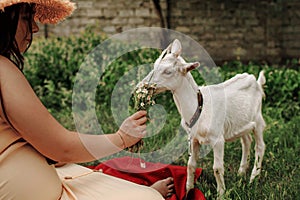 Village animals. Happy pregnant woman hugs goat, concept of unity of nature and man. Life in the countryside.