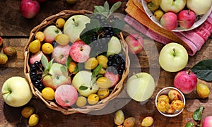 Village apples, plums and black chokeberry on the table