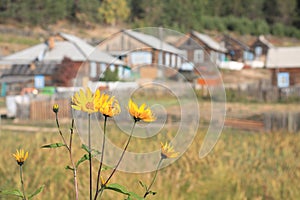 Village on Baikal lake