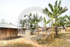 Village with banana plants in Tafi Atome in the Volta Region in