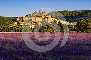 The village of Banon in Provence with lavender fields at sunrise in summer. Alpes-de-Hautes-Provence. Alps, France