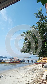 village beach,tree and a boat