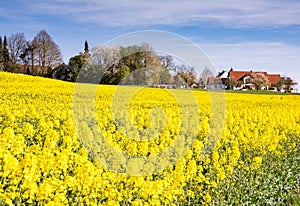 Village behind a field