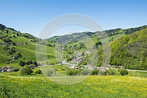 Landscape Black Forest, Germany. Beautiful flowering meadows, hills with trees, windy road, village, Schwarzwald photo