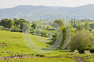 The village of Cabarceno