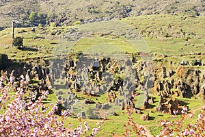 The village of Cabarceno